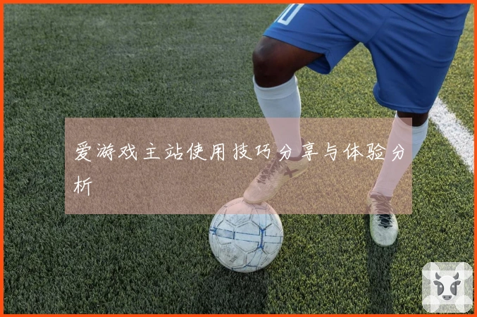爱游戏主站使用技巧分享与体验分析